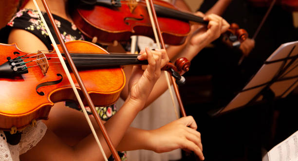 Violin lessons online